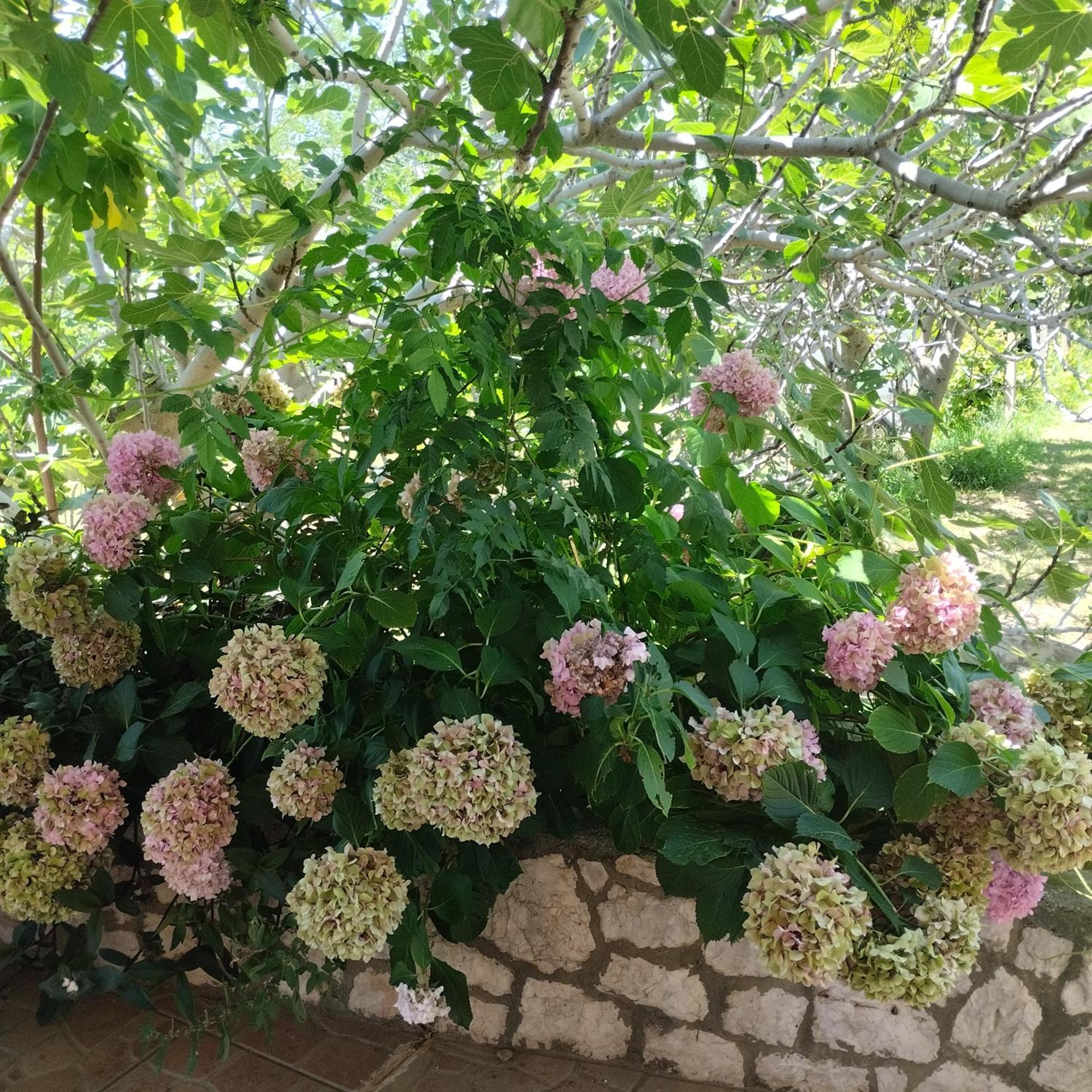 לופאר Apartmani Gero מראה חיצוני תמונה